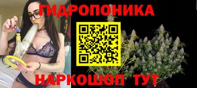 прущие грибы Камышлов