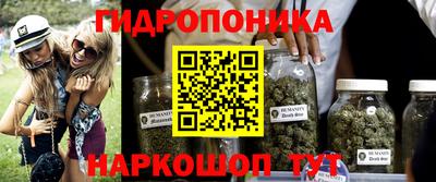 каннабис Канаш