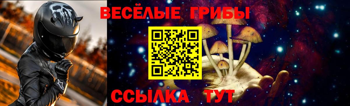 Кушва  Псилоцибиновые грибы мицелий  Вход с VPN  Галлюциногенные грибы прущие грибы 